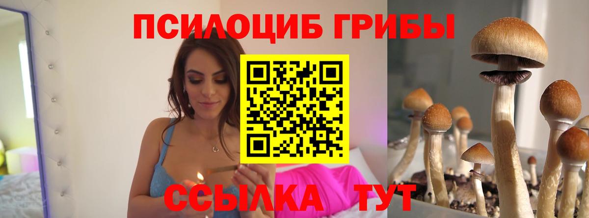 Нижний Тагил  Галлюциногенные грибы Psilocybe  Вход с VPN 